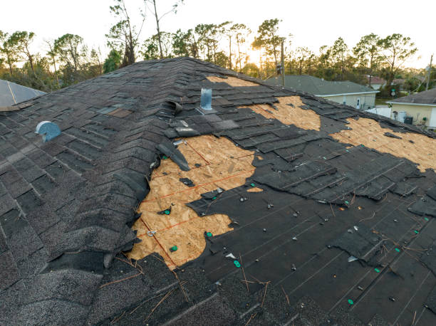 Roof Insulation in Haleyville, AL